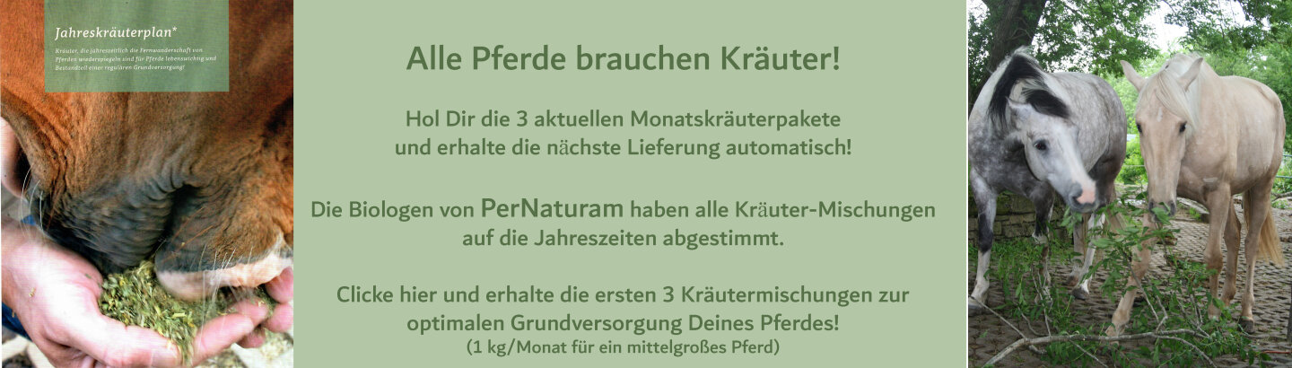 Jahreskräuter-Plan