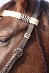 BAREFOOT Acorn Headstall Barefoot with genuine rawhide Full