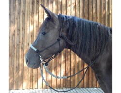 CG HEUNETZE knotted noseband Flavour black (nose piece...