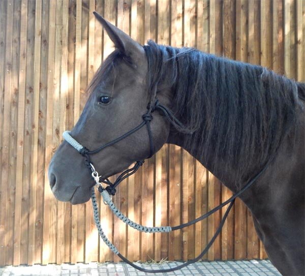 CG HEUNETZE rope reins Flavour black with braiding gray closed