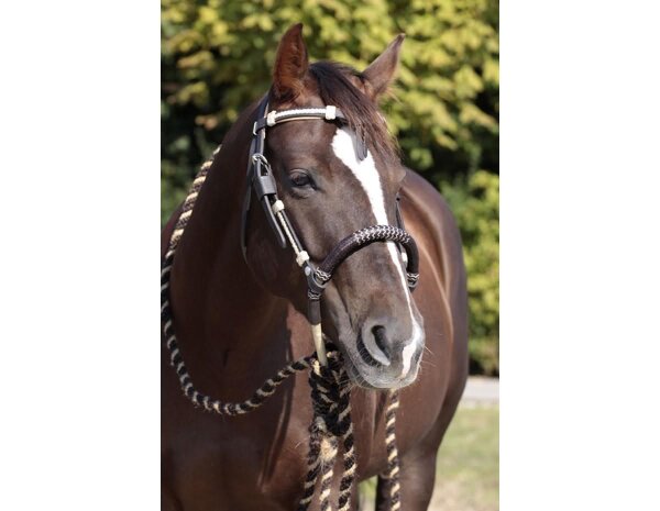 BAREFOOT headstall Oaktlet with genuine rawhide VB/WB