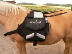 Backpack Walk-My-Horse(TM)