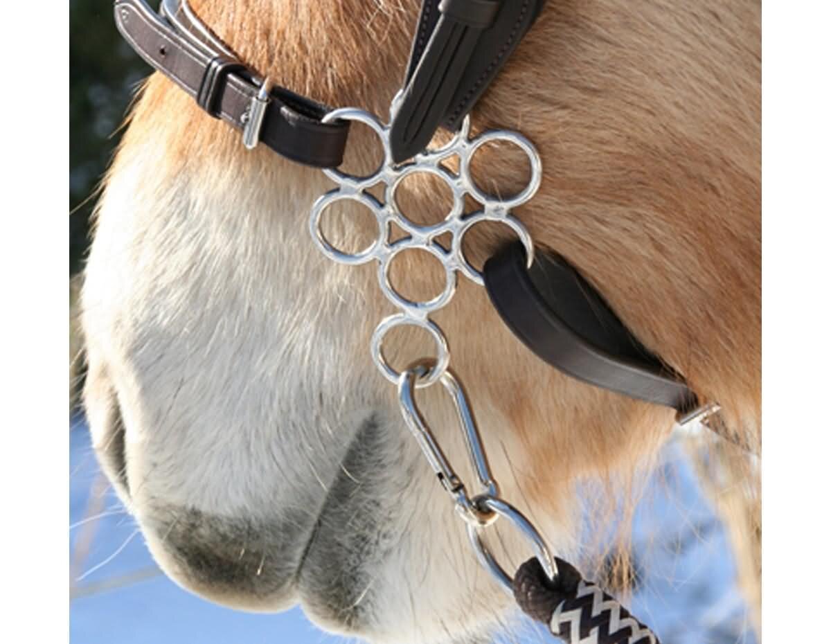 Hackamore « Flower » de Barefoot, 27,95