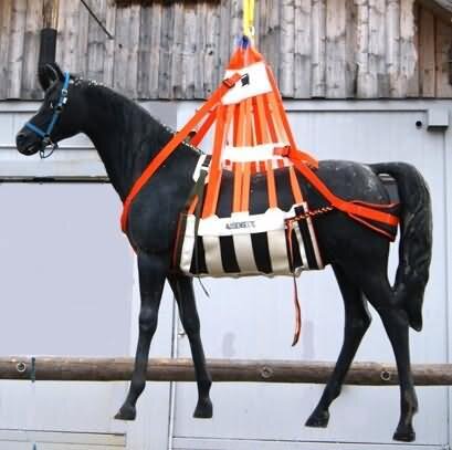 harnais attelage ideal eurotech synthétique cheval