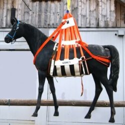 Lifting harness and recovery harness for horses and cattle