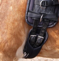 BAREFOOT Saddle Girth English Stretch & Breath 55cm