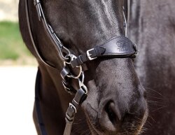 BAREFOOT noseband VB/WB brown