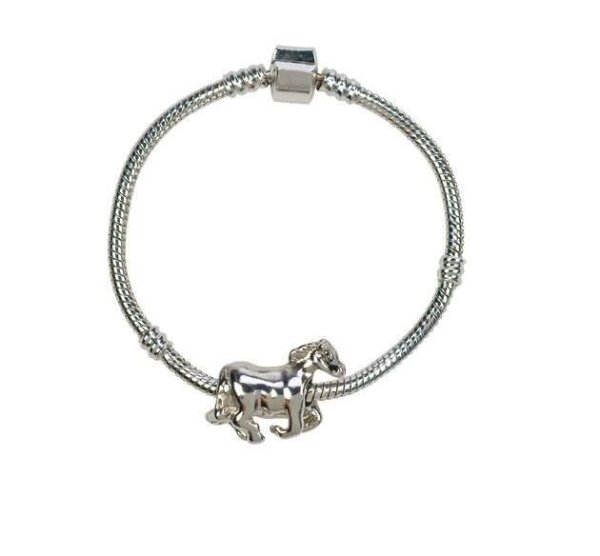 Bracelet argenté "Cheval"