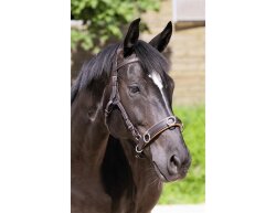 BAREFOOT Contour Physio Kopfstück Pony braun