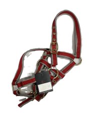 KERBL Licol exclusif pour poulain / mini setty...