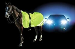 KERBL Couverture de sécurité réfléchissante / Couverture lumineuse petite