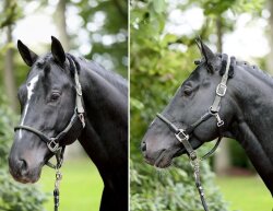 KERBL Licol Cordano avec protège-nuque bleu poney