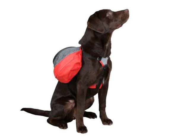KERBL Hunde Rucksack Groß