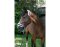 KERBL Halter Flauschi with woven fur size 3 warmblood blue