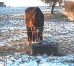 Buvette Thermolac 75 B abreuvoir antigel isotherme (sans électricité) - brun