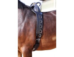 BAREFOOT Longier-/ Therapiegurt mit Griff XXL Pony