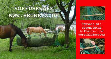 CG Heunetz Größe XXL MW60 mm 3,00 m x 1,00 m - für Offenstall und Weide - Vorführware - CG HEUNETZ