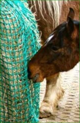 CG Heunetz Größe L MW30 mm 1,50 m x 1,00 m - für ca. 16 kg Heu - 4mm Seil - CG HEUNETZ