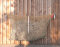 CG Filet à foin L - 1,5 m x 1,0 m - pour env. 12 kg - Set MW45 mm