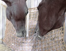 CG Heunetz Größe XL MW45 mm 2,00 m x 1,00 m -...