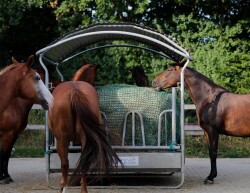 CG Abdecknetz MW60 mm 2,50 m x 2,50 m - für Raufen - CG HEUNETZ