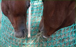 CG Heunetz M schmal 1m x 0,75m für ca. 6 kg Heu MW45mm inkl. Schnur und Aufhaltestab - CG HEUNETZE