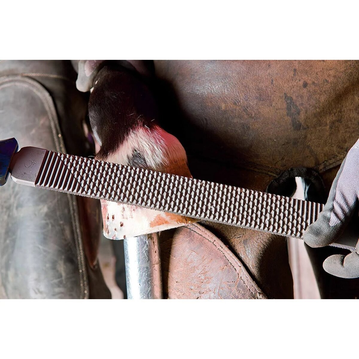 Hufhobel von PFERD Besser als jede Hufraspel Werkzeug zur Hufbear