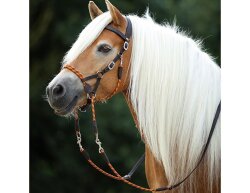 Sidepull Syringa incl. reins black Full