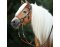 Sidepull Syringa incl. reins black Full