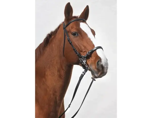 STARBRIDLE Das Original Leder braun Warmblut mit Kinnkette (ohne Kopfzeug)
