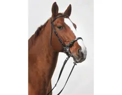 STARBRIDLE Das Original Leder braun Warmblut mit...