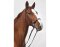 STARBRIDLE complet avec tête Zeug Pony brun