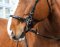 STARBRIDLE complet avec tête Zeug Pony brun
