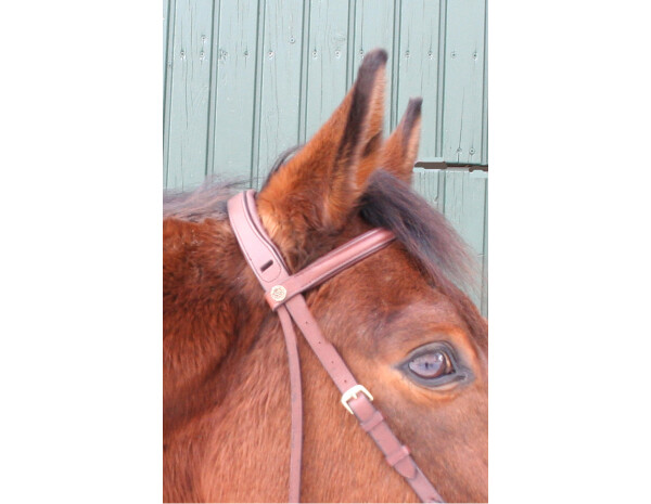 CG HEUNETZE Headstall Starbridle size Cob / Thoroughbred brown