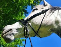 UBB Classic Nylon pony braun