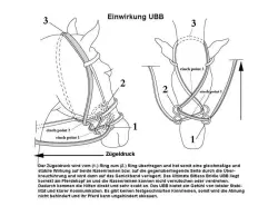 UBB schwarz Kaltblut Nylon