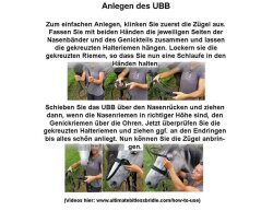 UBB Classic Biothane VB/WB schwarz