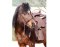 BAREFOOT Bitless Bridle Walnut (crossover function) Pony brown