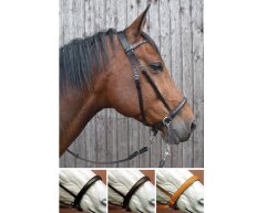 BITLESS BRIDLE Leder - Das Original von Dr. R. Cook