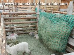 Heunetz engmaschig L mit 4,5 cm Maschenweite (1 m x 1,50 m) für Pony / Esel / Schafe / Ziege / Pferde