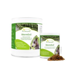 VermExil pour chiens - vermifuge