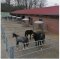 KERBL round horse feeding trough 2 heights including shipping to postcode