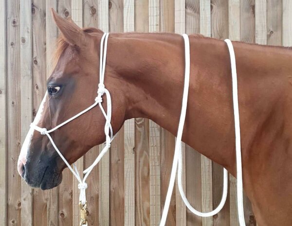 Horse-Man rope halter in professional trainer quality in many colors