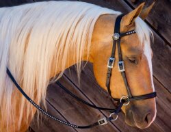 BITLESS BRIDLE Western Delux mit Antik Nieten