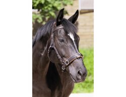 Barefoot® Contour Physio Bridle - brown or black