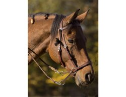 BITLESS BRIDLE Western Style Delux mit Antik Nieten das Original von Dr. R. Cook in verschiedenen Farben