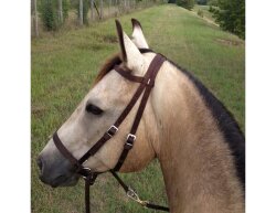 BITLESS BRIDLE Nylon Small noir