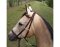 BITLESS BRIDLE Nylon Small noir