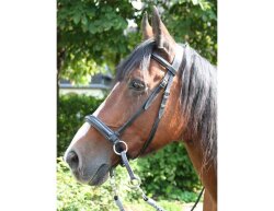 BITLESS BRIDLE Dr. R. Cook Premium Extra Full braun