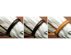 BITLESS BRIDLE Dr. R. Cook Premium Extra Full braun